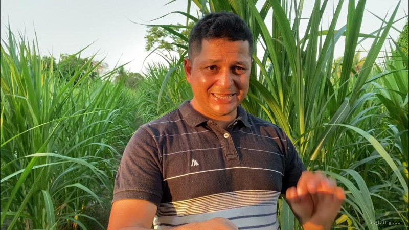 Como saber se o Capiacu é verdadeiro? Dicas para não cair em ciladas