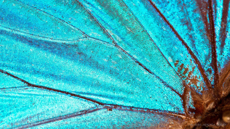 Qual cor não existe na natureza?