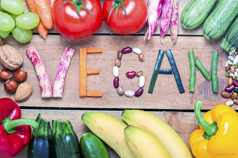 Qual o tipo de travesseiro mais duro? Descubra o melhor para seu sono!