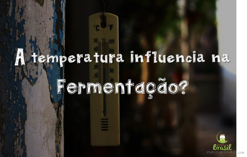 Que temperatura mata o fermento? Descubra a resposta crucial