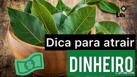 Como usar a folha de louro para atrair dinheiro? Descubra o segredo!