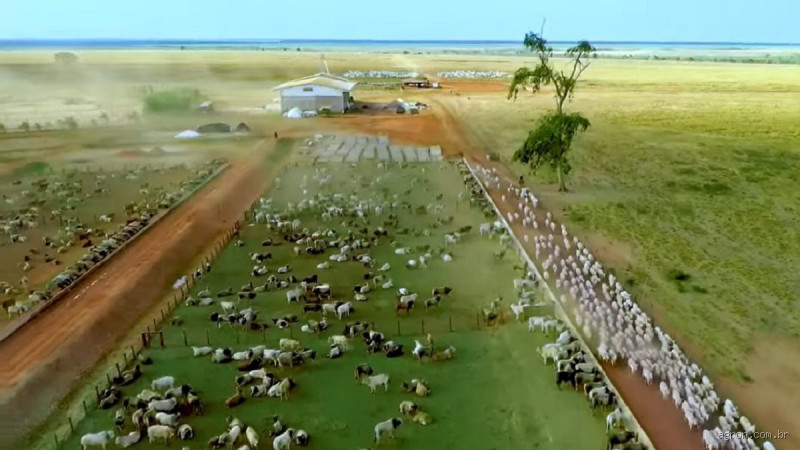 De quem é a maior fazenda?