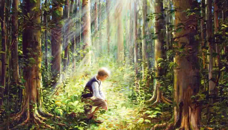 O que a natureza nos ensina sobre Deus?