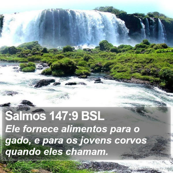 O que diz o Salmo 147 versículo 9? Entenda o Significado Profundo
