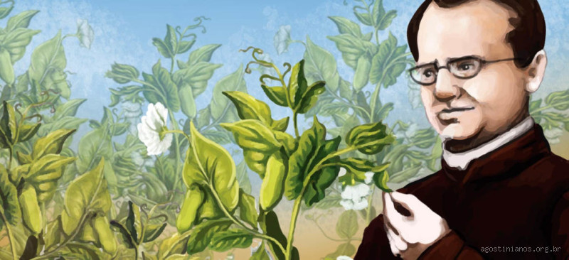 Quem é Considerado o Pai da Genética? Descubra Agora!