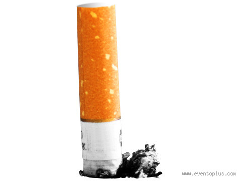 O que podemos aprender com Rute 2? Lições de fé e perseverança