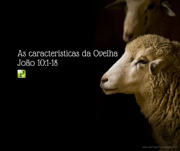Quais são as características de uma ovelha na Bíblia?