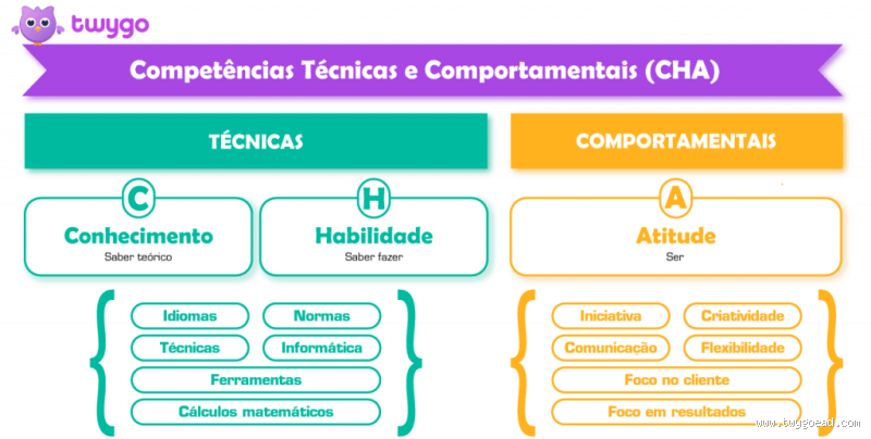 Quais são as competências técnicas? Descubra as habilidades essenciais