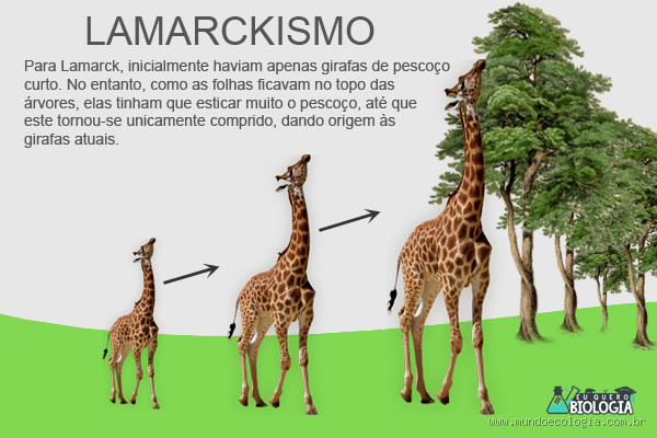 Qual a teoria de evolução mais aceita hoje: Lamarck ou Darwin?