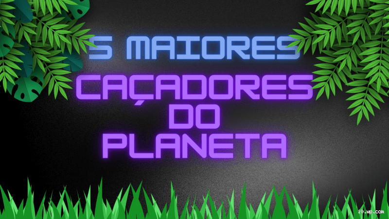 Qual é o melhor caçador do mundo? Descubra os Segredos da Natureza!