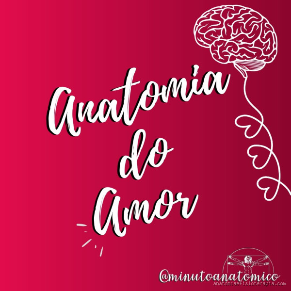 Qual é o órgão do amor?
