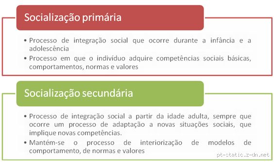 Qual é o principal agente de socialização primária? A resposta vai te surpreender!
