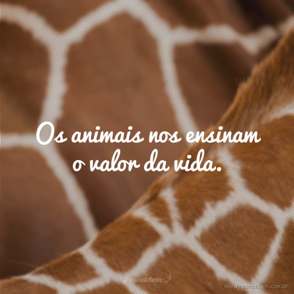 Qual o animal que menos vale? Uma reflexão sobre o valor da vida animal