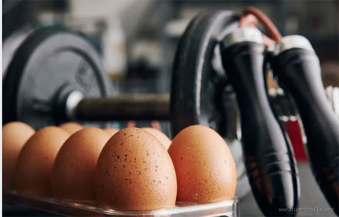 Pode Comer 4 Ovos em um Dia?