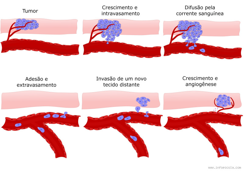 Qual a vitamina que limpa o fígado? Descubra o segredo da saúde hepática!