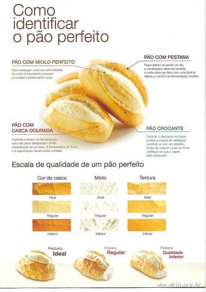 Quantas vezes comer pão na semana? Descubra o equilíbrio perfeito