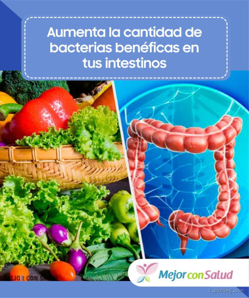 Como curar a flora intestinal naturalmente? Descubra os segredos!
