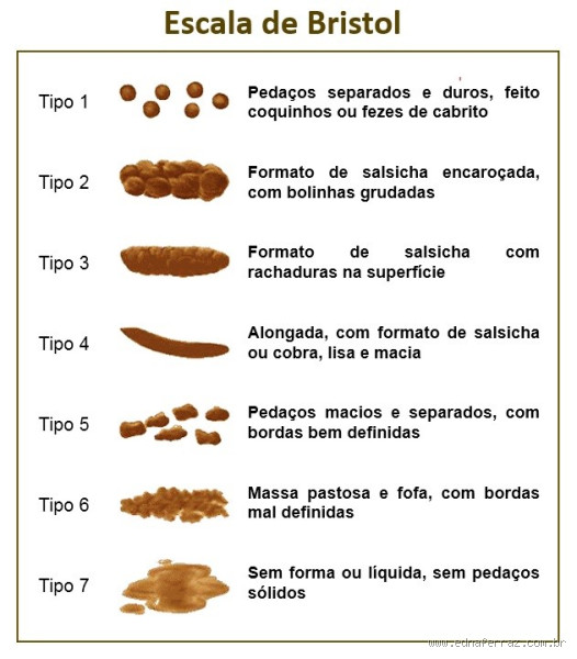 Como saber da saúde pelas fezes?