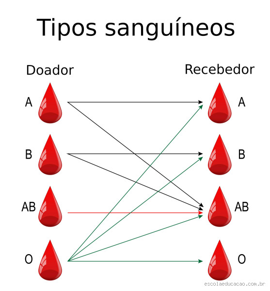 Como surge o sangue tipo O?