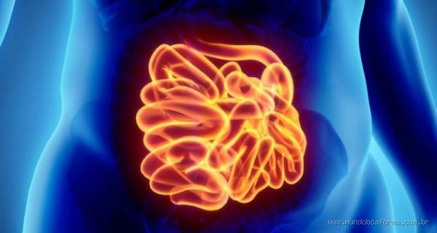 É Perigoso Ter Inflamação no Intestino?