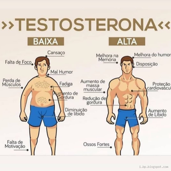 É saudável tomar testosterona? Descubra os riscos e benefícios