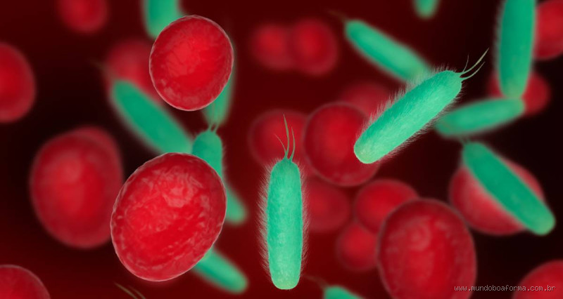 O que acontece quando a bactéria vai para o sangue? Entenda os riscos