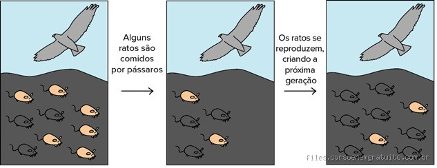 O que é seleção natural? 3 exemplos que explicam o processo