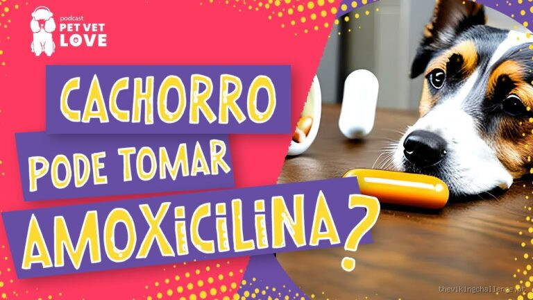 Amoxicilina para Cachorro: É Seguro Usar 500 mg? Entenda as Diretrizes do Veterinário