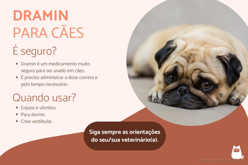Pode dar Dramin para o cachorro? Saiba os riscos e como agir com segurança