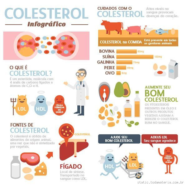 Por que meu colesterol não abaixa? Descubra os motivos e soluções