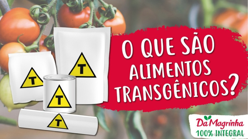 Transgênicos: Saúde ou Risco? Descubra o que os Estudos Reais Mostram!
