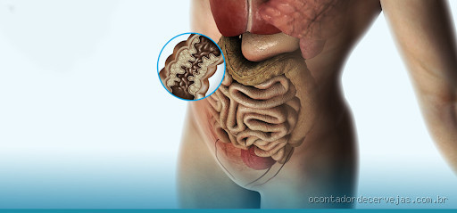 Porque as fezes endurecem no intestino? Descubra as causas e soluções