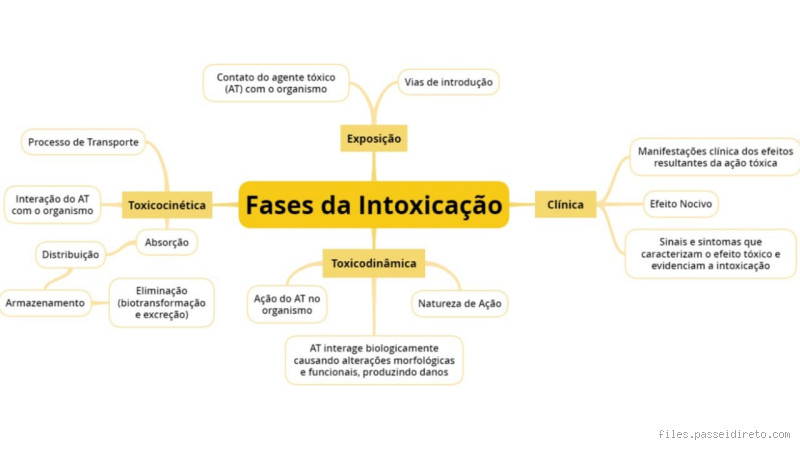 Quais são as 5 fases da intoxicação? Entenda os sinais perigosos