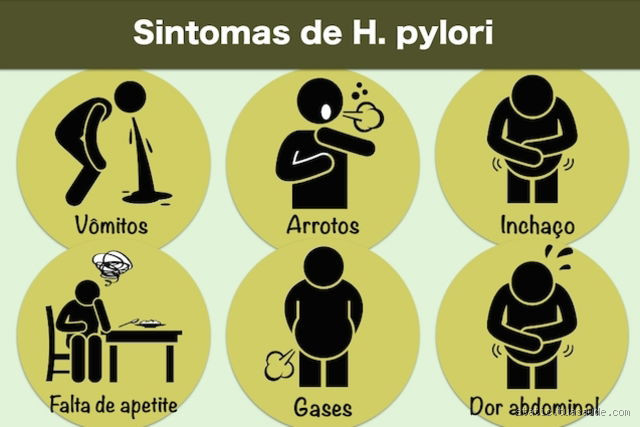 Quais são os sintomas da bactéria H Pylori no estômago?