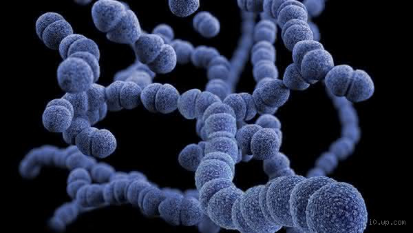 Qual é a bactéria mais perigosa em hospitais?