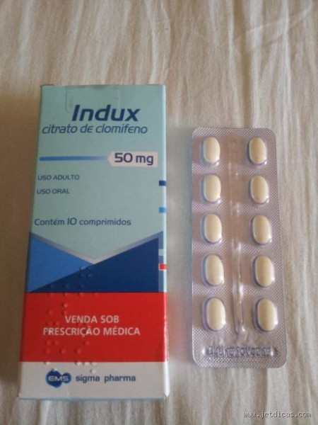 Qual é o melhor remédio para engravidar?