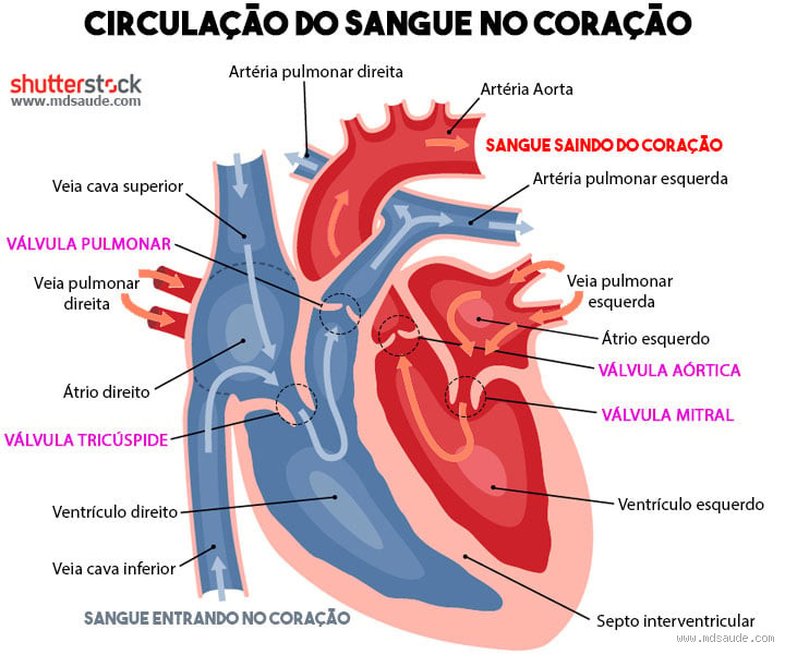 Quando deitar do lado esquerdo acelera o coração?