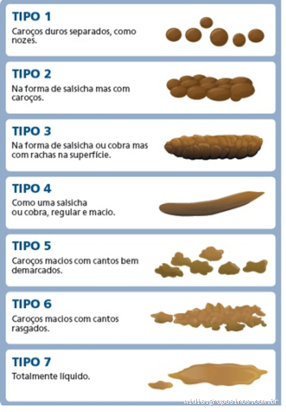 Quantos gramas de fezes por dia? Descubra a média e o que influencia