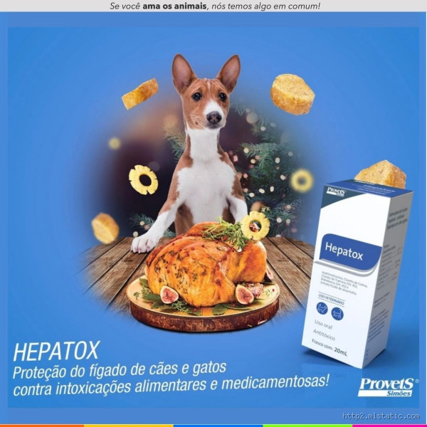 Que remédio devo tomar para intoxicação alimentar? Descubra agora!