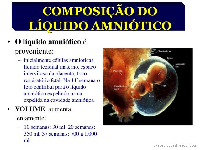 Tem água dentro da placenta?