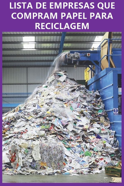 Como vender meu papelão reciclado e ganhar dinheiro com isso?