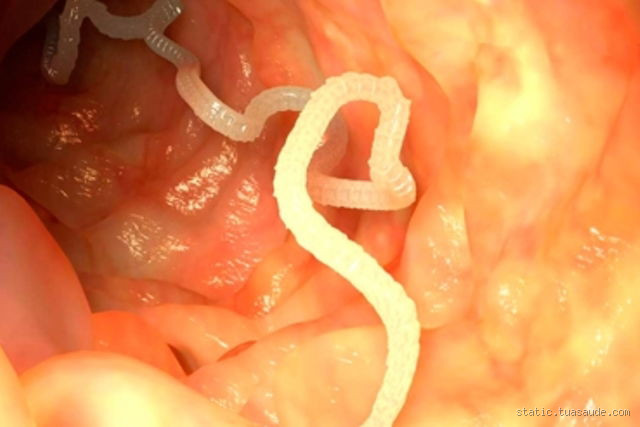 O que significa quando o cão mugola?