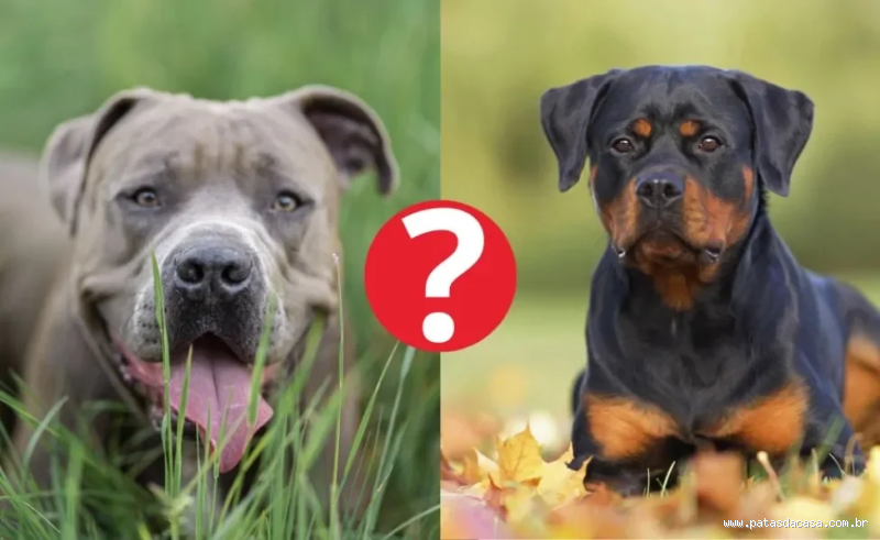 Como pedir lanche e pagar depois?