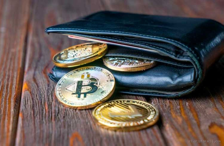 Qual é a melhor carteira de criptomoedas? Descubra as opções ideais!