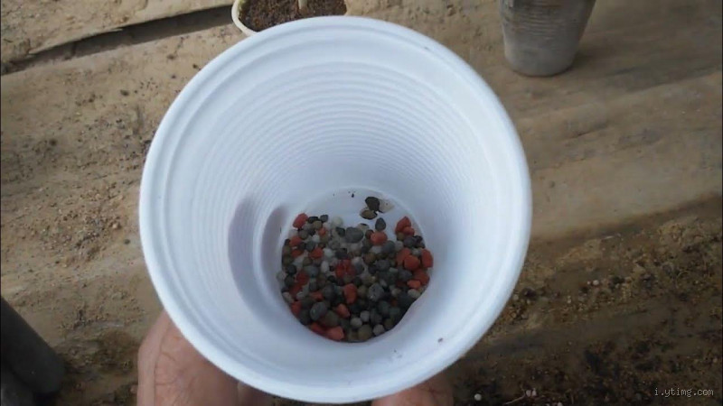 Como Dissolver NPK Granulado Eficientemente: Dicas e Truques para Plantas Saudáveis