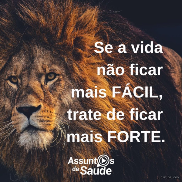 O que é mais forte que um leão? Descubra os verdadeiros reis da força