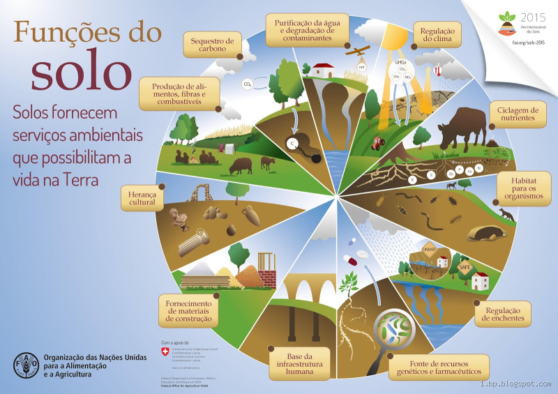 O que faz o solo ficar infértil? Entenda os motivos e soluções