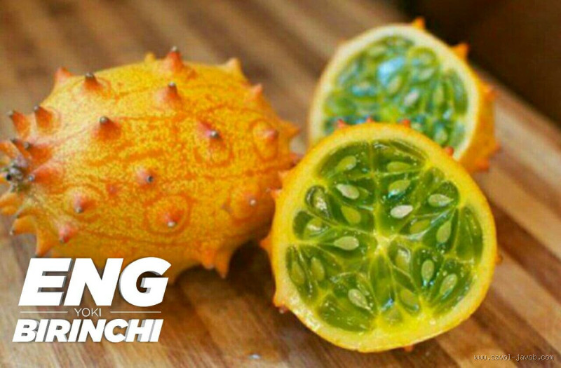 Qual é a fruta mais antiga do mundo? Descubra o segredo da natureza