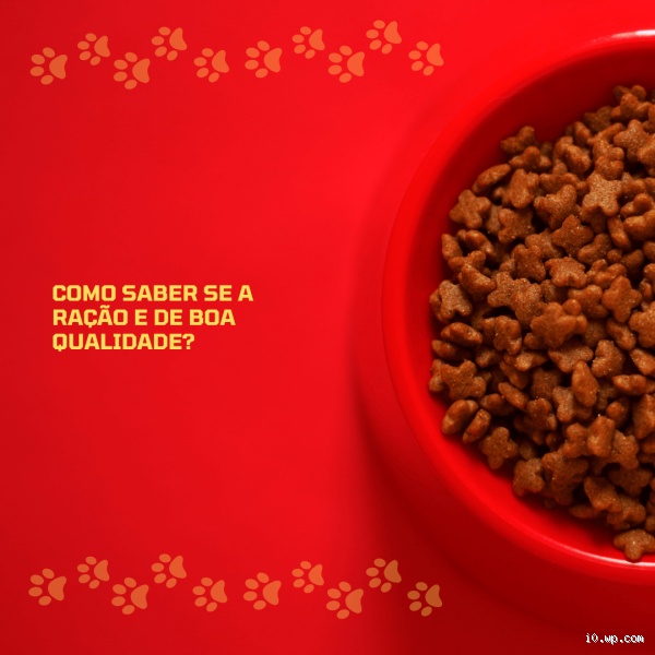 Como saber se a ração está boa? Dicas para garantir a saúde do seu pet