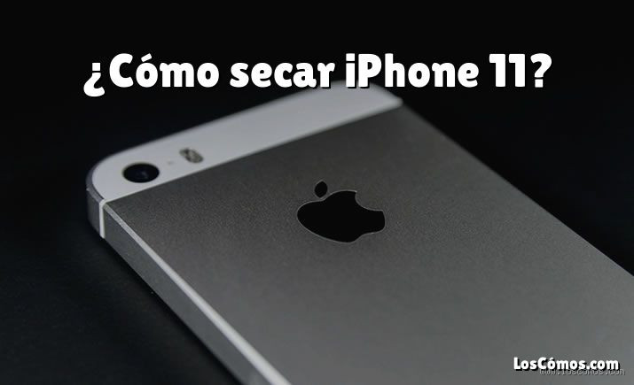 Como secar iPhone 11 de forma segura e eficiente?